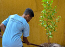 Divino Verde fortalece conscientização ambiental durante Festa do Divino em Poá