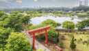 Parque Centenário volta a abrir todos os dias a partir do dia 15