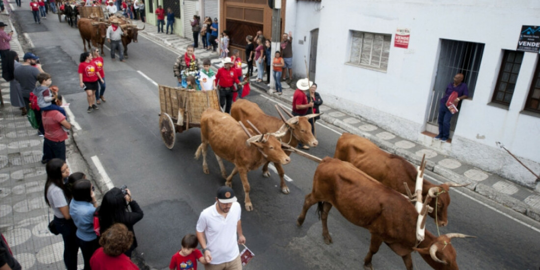 Entrada dos Palmitos altera trânsito e transporte coletivo