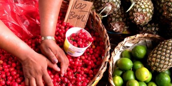 Caminhos da Reportagem faz uma viagem pela vizinha Guiana
