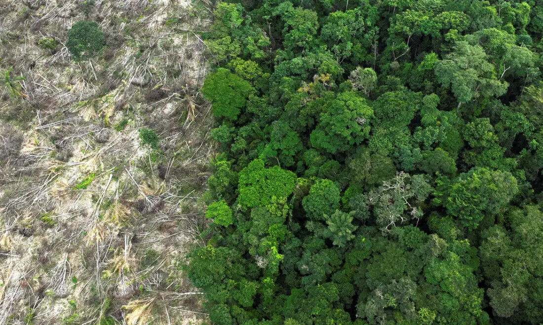 Crise climática é o pior desafio da história humana, diz cientista