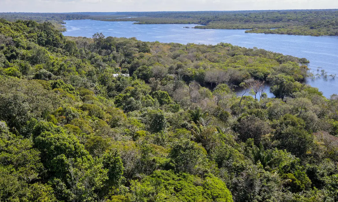 Fundo Amazônia quadruplica ritmo anual de aprovações desde 2023
