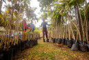 Prefeitura de Guararema promove “Junho Verde” com atividades de educação ambiental