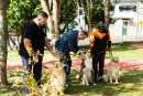 Arujá inaugura 2º ParCão em duas semanas, ampliando espaços de lazer para pets