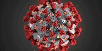 Covid-19: Brasil registra 9,9 mil novos casos e 82 óbitos em 24 horas