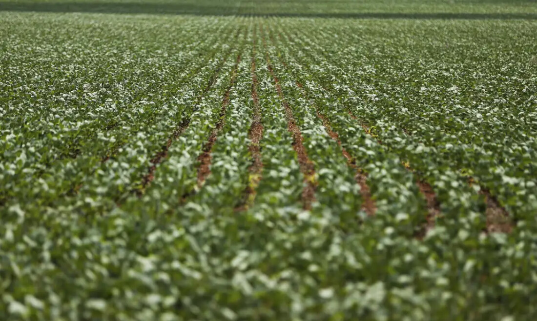 Entenda impasse entre bancada do agro e governo sobre dívidas rurais
