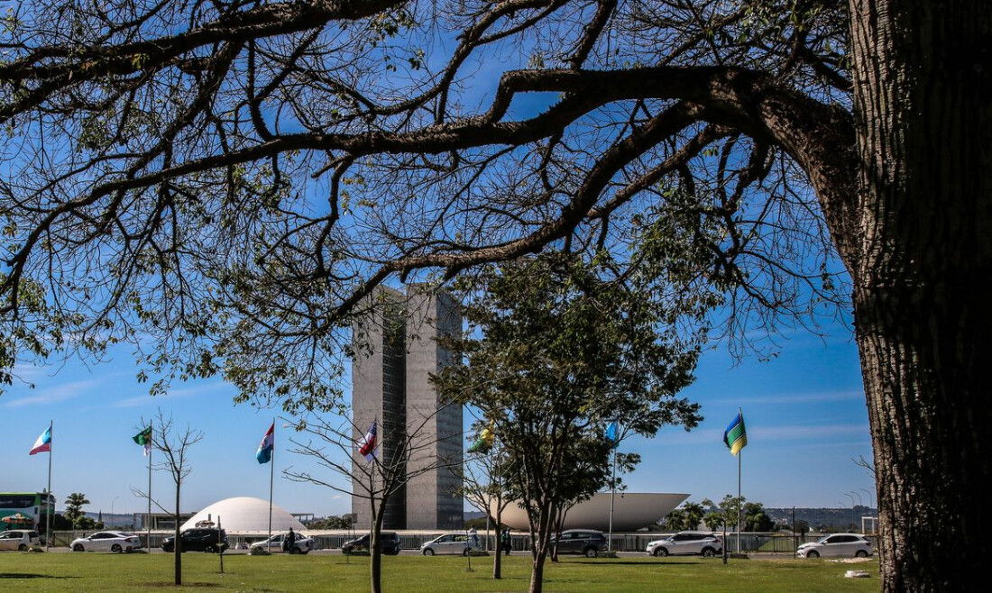 Pagamento automático de pensão alimentícia é aprovado no Senado