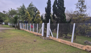 Viveiro Municipal passa por reforma e ampliação para melhorar estrutura 