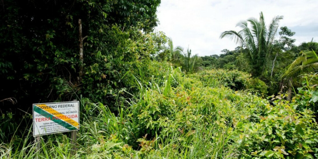 BNDES avalia concessão ambiental com pagamento para conservação