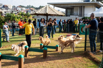 Últimas vagas para o 1º Seminário da Jornada de Conhecimento em Bem-Estar Animal