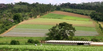 Condemat aprova projeto para a capacitação de produtores