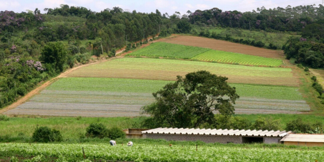 Condemat aprova projeto para a capacitação de produtores