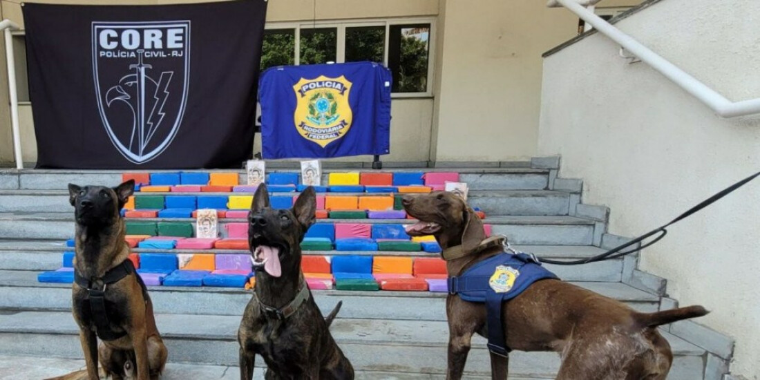  PRF faz apreensão de pasta de cocaína no estado do Rio