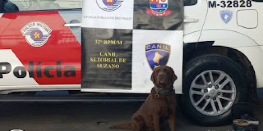 Polícia Militar prende casal por tráfico de drogas