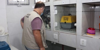 Clínica veterinária é interditada em Suzano