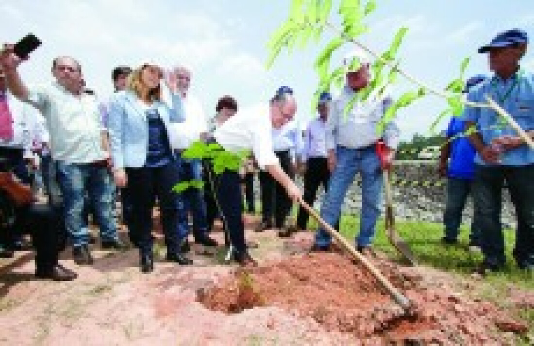 Salesópolis recebe 110 mil mudas