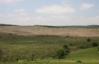 Bertaiolli descarta a vinda de aterro