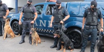 Prefeitos apoiam atuação intensiva das GCMs