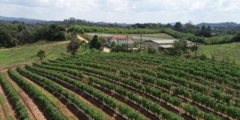 Ciclo II do Seguro Rural encerra inscrições