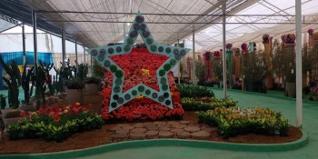 Expo Aflord tem atrações durante o fim de semana