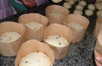 Saspe inicia matrículas para oficina de panetone