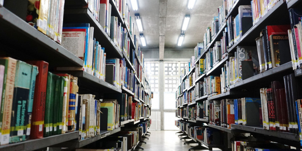 Bibliotecas municipais disponibilizam mais de 5 mil livros