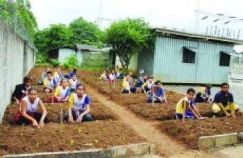 Escola Ambiental realiza projeto sobre alimentação
