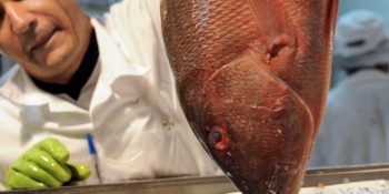 Semana do Pescado quer criar nova temporada de consumo no 2º semestre