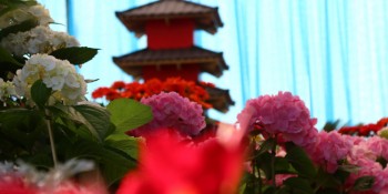 Feira de Flores de Arujá começa neste sábado