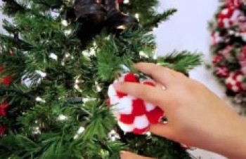 Hoje, 29, é o dia de se montar a árvore de natal