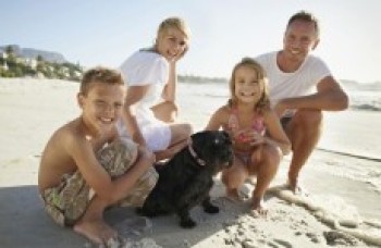 Como garantir o bem-estar dos animais nas viagens de férias
