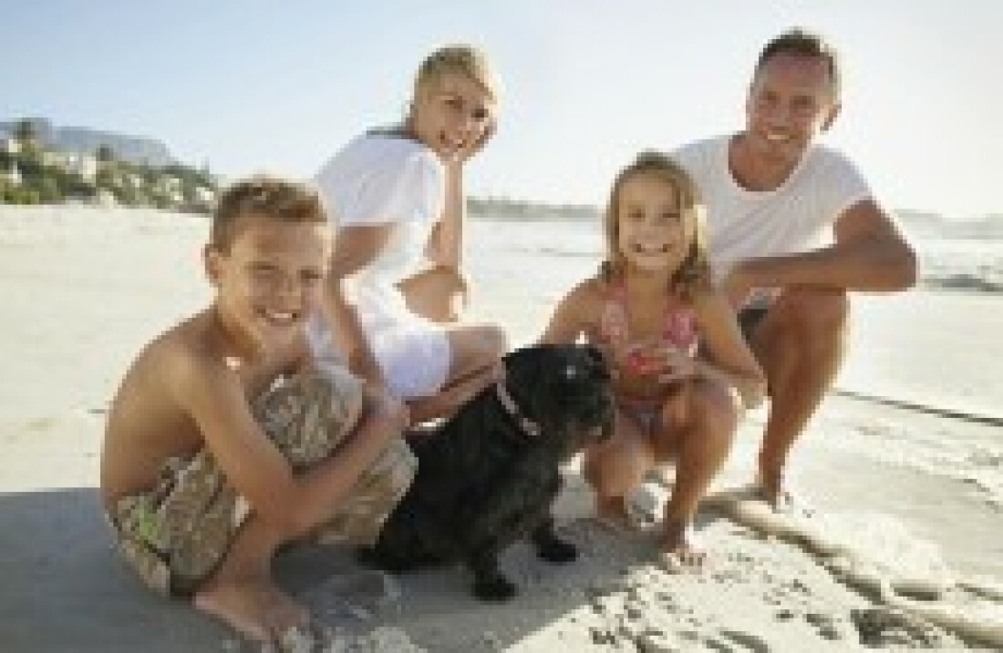 Como garantir o bem-estar dos animais nas viagens de férias