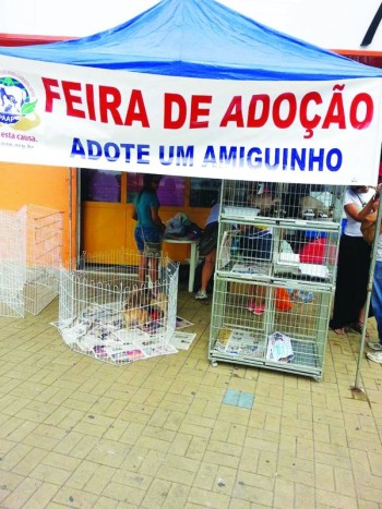 Entidade ajuda 300 animais abandonados