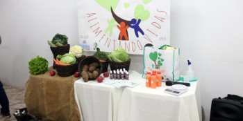 Projeto Alimentando Vidas contempla cem famílias