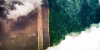 Marina Silva alerta para destruição irreversível da Amazônia
