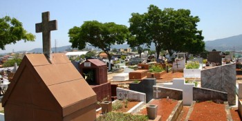Agricultura abre edital para comércio em novembro