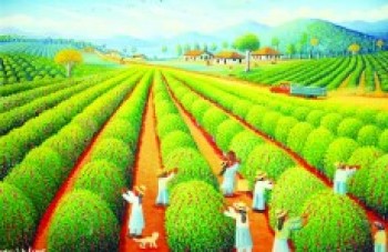 "O Homem e a Natureza" está em cartaz na Câmara de Mogi