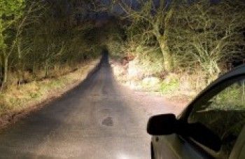Detran.SP orienta sobre o uso correto das luzes do veículo