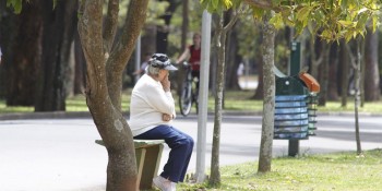 Lei é rebatizada para garantir inclusão
