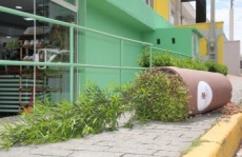 Vândalos destroem decoração de Natal da rua Manoel Rudge