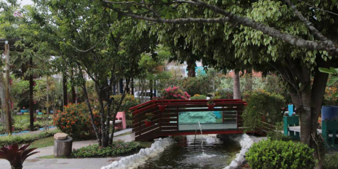 Viveiro Municipal oferece plantio de mudas gratuito
