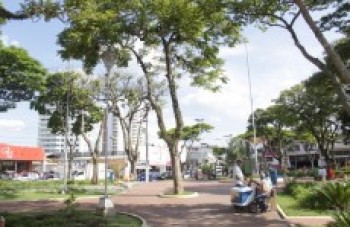 Suzano terá ações contra trabalho infantil nesta sexta-feira