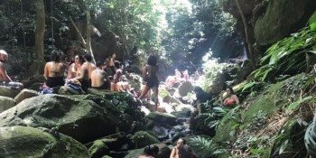 Parque Nacional da Tijuca tem atividades do evento Um dia no Parque