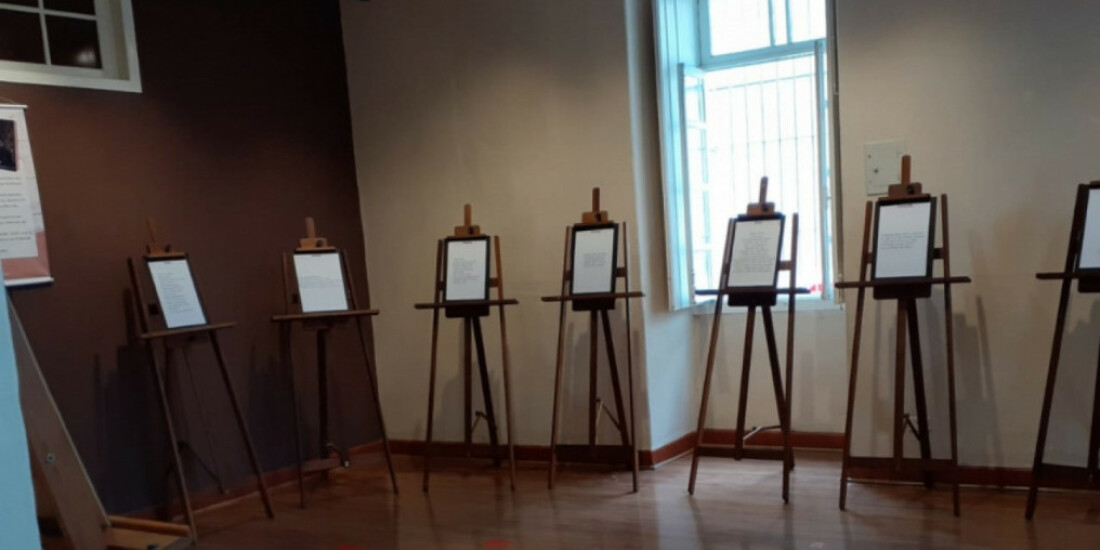 Pinacoteca abre visitação gratuita para exposição