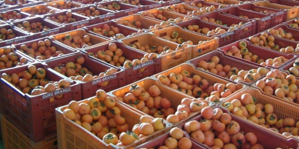Agricultura recebe inscrições de produtores