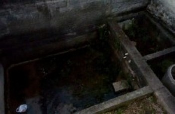 Casa com tanques de água parada preocupa vizinhos