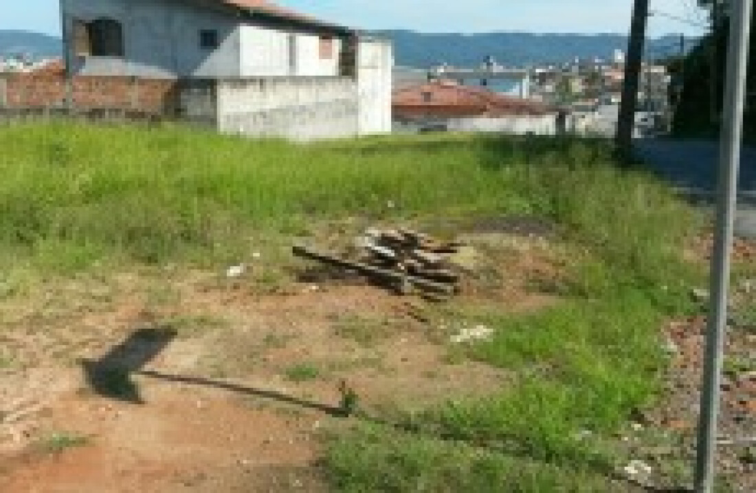 Mato alto atrai animais e preocupa moradores