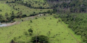 Certificado de Cadastro de Imóvel Rural pode ser consultado e emitido