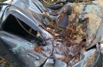 Chuva forte e ventania derrubam árvore sobre carro no Alto do Ipiranga