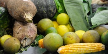 Guia do Ministério da Saúde traz dicas para alimentação de crianças
